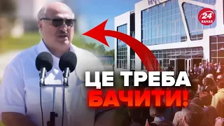 😆 Лукашенко СПОЗОРИВСЯ на людях. Z-пропагандистів РОЗРИВАЄ прямо в ЕФІРІ. Кисельов НАЇХАВ на ЄВРОПУ