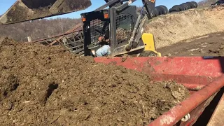 Spreading manure with IH 1066