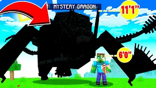 TAMING a MYSTERY DRAGON from HOW TO TRAIN YOUR DRAGON! (Minecraft)