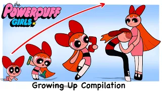 Powerpuff Girl New Growing Up EVOLUTION | Cartoon Wow