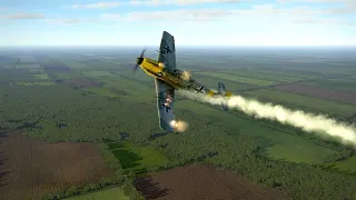 Смерть в воздушном бою (слоумо версия) / Death in air combat (slowmo version)