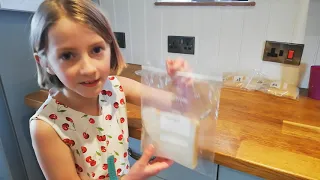 Bread and hand germs experiment