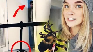 GIANT SPIDER PRANK! - Lenay