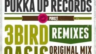 3bird - Oasis (How You Feel) (Original Mix)