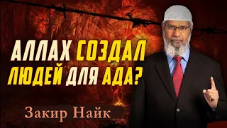 Почему Аллах создал людей, зная, что они попадут в Ад? Закир Найк