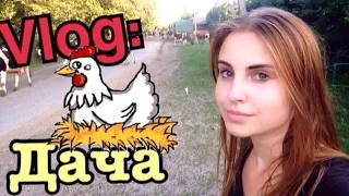 VLOG: Дача