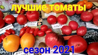 🍅🍅ОБЗОР ЛУЧШИХ СОРТОВ и ГИБРИДОВ ТОМАТОВ СЕЗОНА 2021 года. 1 часть