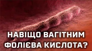 Чому вагітним необхідна фолієва кислота [Nucleus Medical Media]