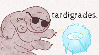 A Tardigrade's Molecular Secrets