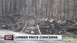 Rising lumber prices during the pandemic