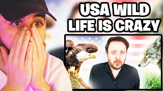 Brit Reacts to 8 Wild Animals I Only Encountered After Moving to America