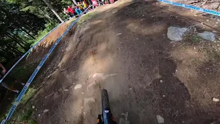 RACE RUN, VAL DI SOLE! CRAZIEST DH TRACK OF MY CAREER...