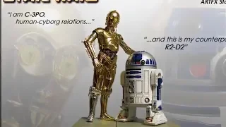 C3PO and R2D2 in West Virgina
