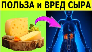 Сыр польза и вред, все свойства сыра.