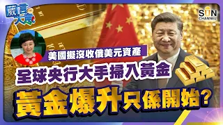 美國擬凍結俄美元資產，全球央行大手掃入黃金，黃金爆升只係開始？︱葳言大意︱Sun Channel︱20240423