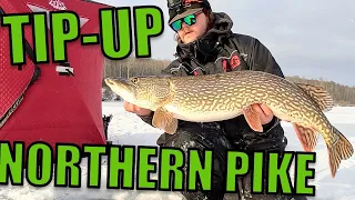 Ice Fishing for Northern Pike! | Tip-Up Fishing