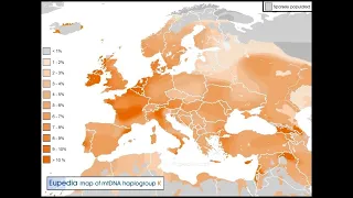 Haplogroup mtDNA K