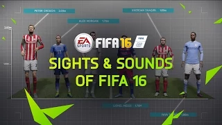 Sights & Sounds of FIFA 16