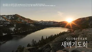 2024년 6월 5일(수) 새벽기도회 (행 16:16-40 | 김규태 목사)