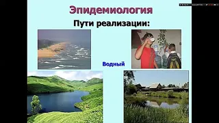 Брюшной тиф. Инфекционные болезни. Бурова С.В. 5 курс