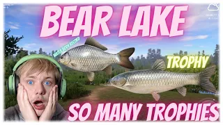 Russian Fishing 4 How To Get EASY Trophies Bear Lake