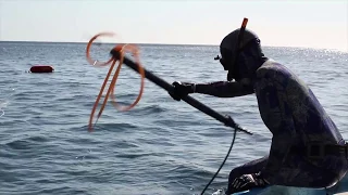 Spearfishing - pargo (cubera snapper)