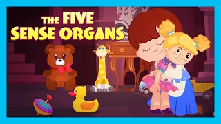 THE FIVE SENSE ORGANS : Stories For Kids In English | TIA & TOFU Stories | Bedtime Stories For Kids