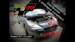 Peugeot 307 1.6cc 16v (tu5jp4) RUIDO A GRILLO EN EL EMBRAGUE!! Caja afuera y DISTRIBUCIÓN!!