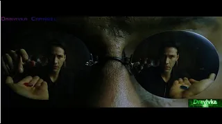 Нео Выбирает Таблетку ... отрывок из фильма (Матрица/The Matrix) 1999