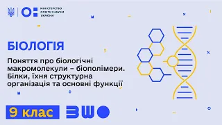 9 клас. Біологія. Поняття про біологічні макромолекули – біополімери