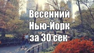 Весенний Нью-Йорк за 30 сек [Америка за 30 сек]