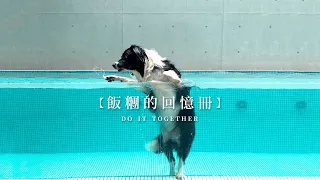 Do it together｜無時無刻，人犬共享美好時光｜多野樂 x leapyeardesign & leapearsfurnature《leap into scene》