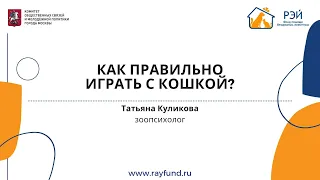 Как правильно играть с кошкой?