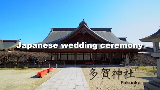 神前式　多賀神社　　Japanese wedding ceremony  Shinto　Fukuoka Japan