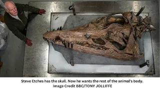 Giant Skull Of 150-Million-Year-Old "Sea Monster" Emerges From UK Cliffs