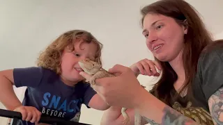 Woman finds bearded dragon left next to donation bin