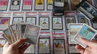 Beautiful Collection Purchase ...with hidden FAKE dual lands mixed in.