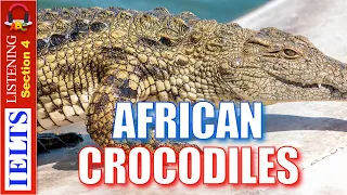 Real IELTS Listening Test | Section 4 | African Crocodiles