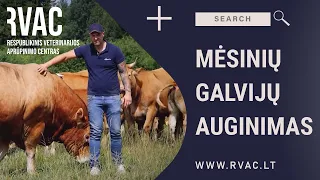 Mėsinių galvijų auginimas - į ką svarbu atkreipti dėmesį? | RVAC