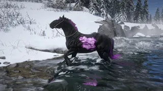 Arthur Morgan cought beautiful horse | rdr2