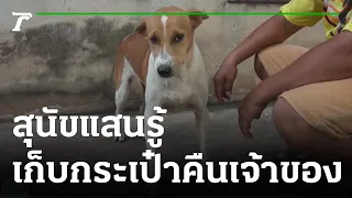 สุนัขแสนรู้เจอกระเป๋าตังค์ตกคาบคืนเจ้าของ | 14-10-65 | ข่าวเที่ยงไทยรัฐ