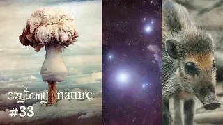 Czytamy naturę #33 | Skutki wojny nuklearnej - Najstarsza gwiazda - Świnia z narzędziami