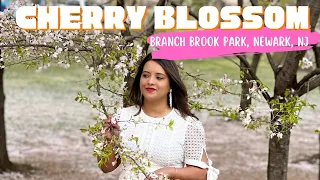 Cherry Blossom Branch Brook Park Newark NJ