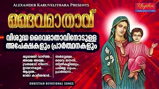 ഇത്രയും മനോഹരമായ മാതാവിന്റെ ഗാനങ്ങൾ വേറെ കേട്ടുകാണില്ല daivamathavinte ganangal | mother mary songs