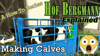 FS19 Hof Bergmann Explained - Making Calves - A How To Series