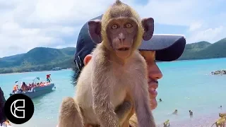 Thailand’s Monkey Island