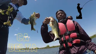 BASS FISHING CA delta