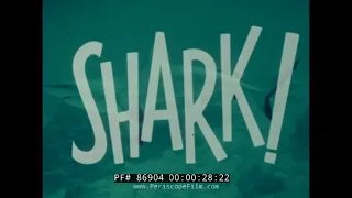 JAWS ERA U.S. NAVY FILM  SHARKS  THE DANGER IN THE SEA  86904
