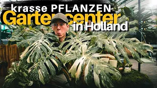 Pflanzen gucken im Gartencenter in Holland mit hammer Preisen für Monstera Philodendron und Calathea