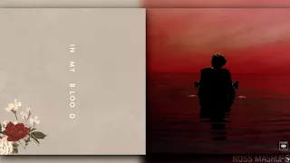 ''Sign In My Blood'' | Shawn Mendes feat. Harry Styles (MASHUP CONCEPT)